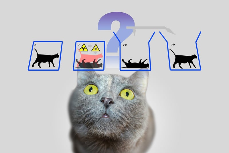 Quantum Physics Concepts